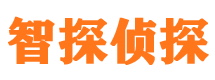 康乐市侦探公司